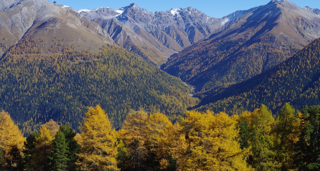 Blick in die Val Trupchun