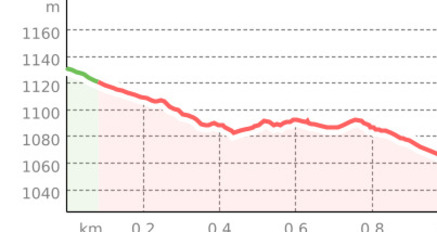 Cresta Bernard (oua_58414819_00de9cd_profile)