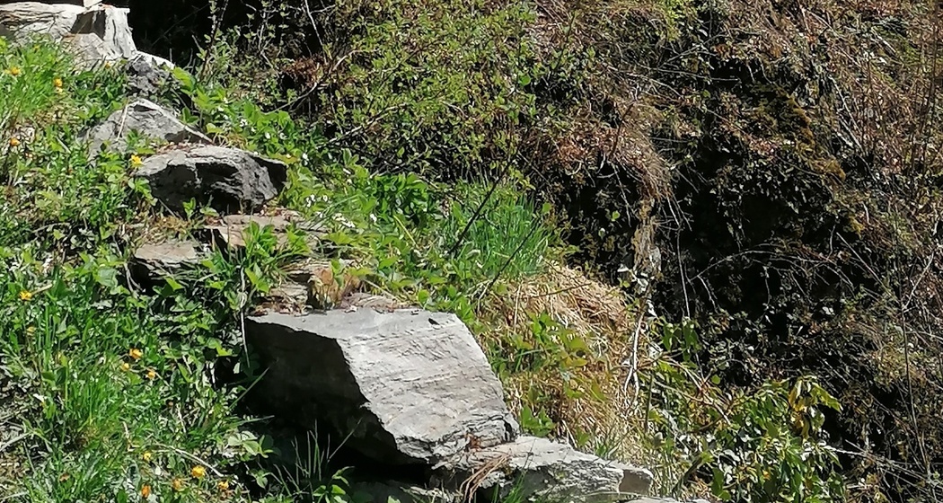 Ponte Runchett da Sotsassa