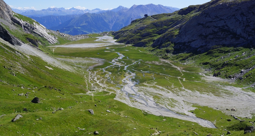 Eine Schwemmebene wächst langsam heran