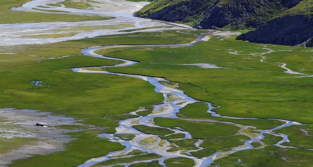 Eine Schwemmebene wächst langsam heran
