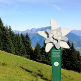 Edelweiss Stelen