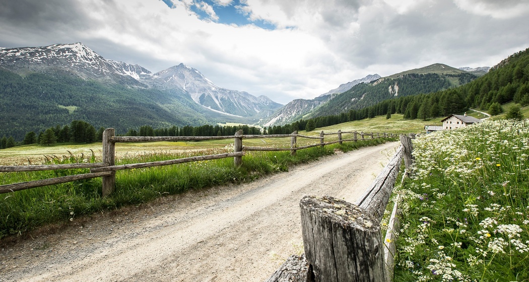 Frühling im Val Müstair