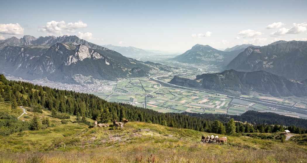 Aussicht auf das St. Galler Rheintal vom Edelweiss Weg aus