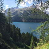Aussicht auf den Silvaplanersee