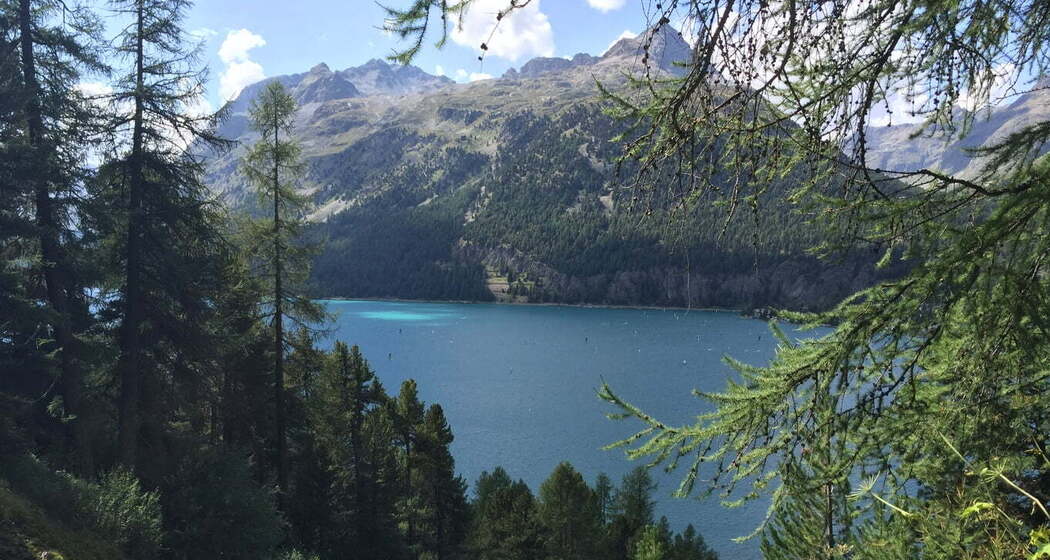 Aussicht auf den Silvaplanersee