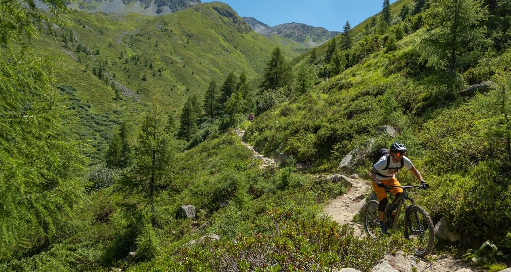 Alps Epic Trail Davos (E-MTB tauglich) (oua_58989211_image)