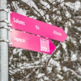 Staderas - Salums - Staderas (277) (oua_59031652_image)