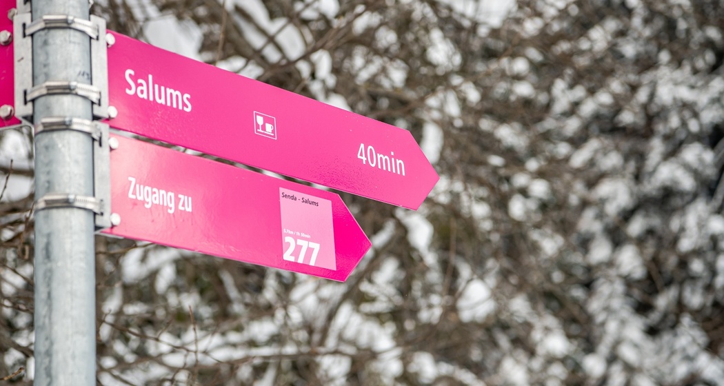 Staderas - Salums - Staderas (277) (oua_59031652_image)