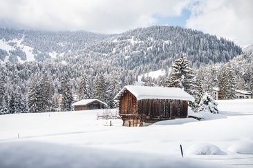 Staderas - Salums - Staderas (277) (oua_59031675_image)