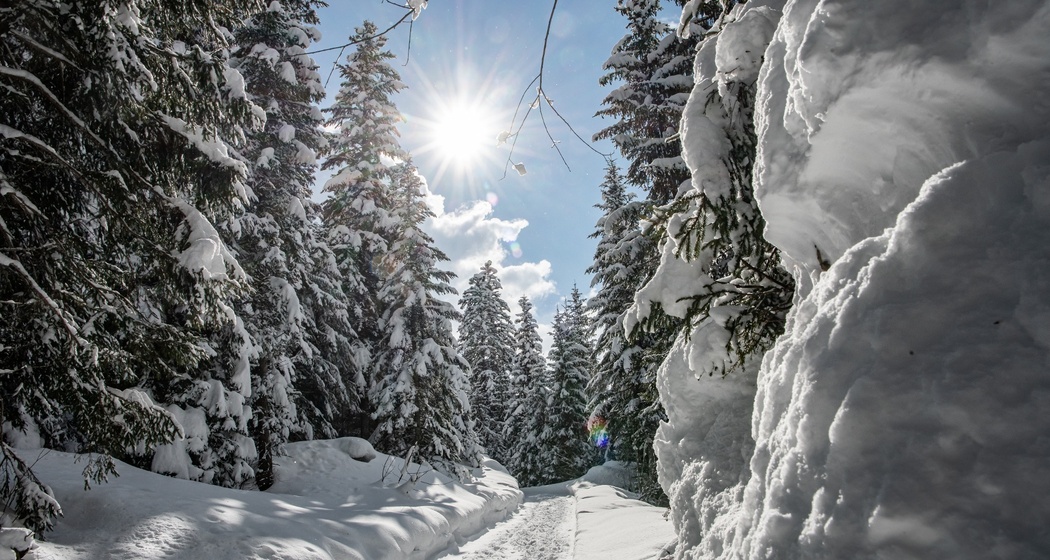 Staderas - Salums - Staderas (277) (oua_59031870_image)