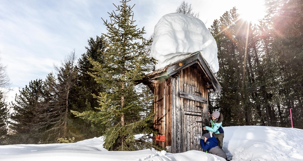 Foxtrail Davos (oua_59048064_image)