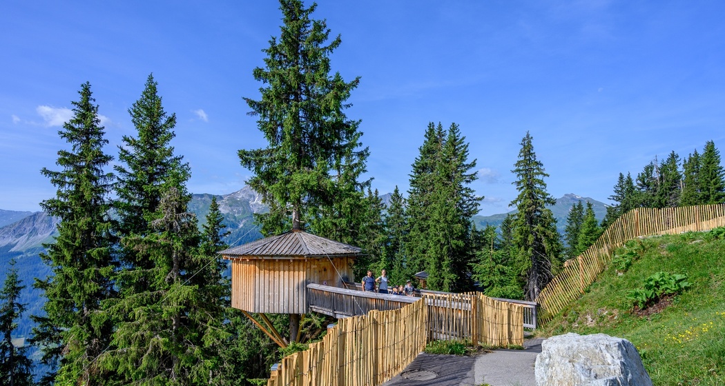 Madrisa - Saas (oua_59048190_image)