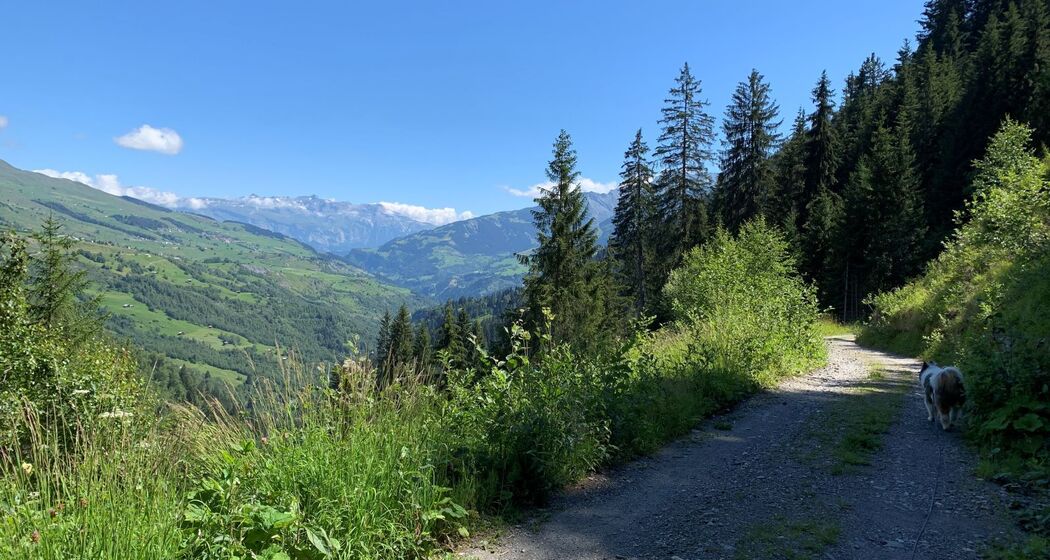 Wanderung Vrin - Uors über die Hängebrücke Val da Silgin (oua_59067283_image)