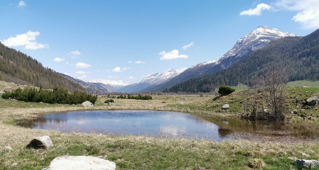 Feuchtbiotop Palüds