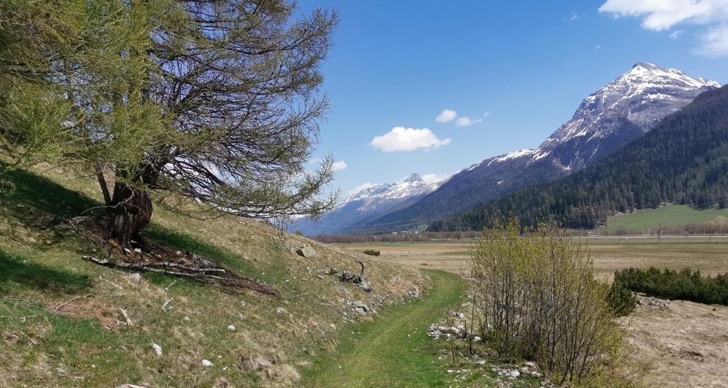 am Hangfuss der Crasta Mora