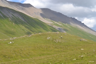 Postensuche am Albulapass