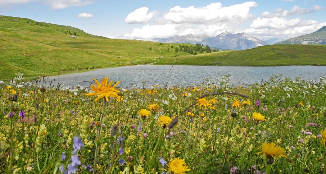Libi am Schamserberg