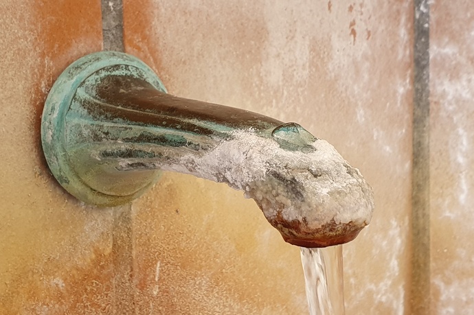 Cock of the Lischana spring