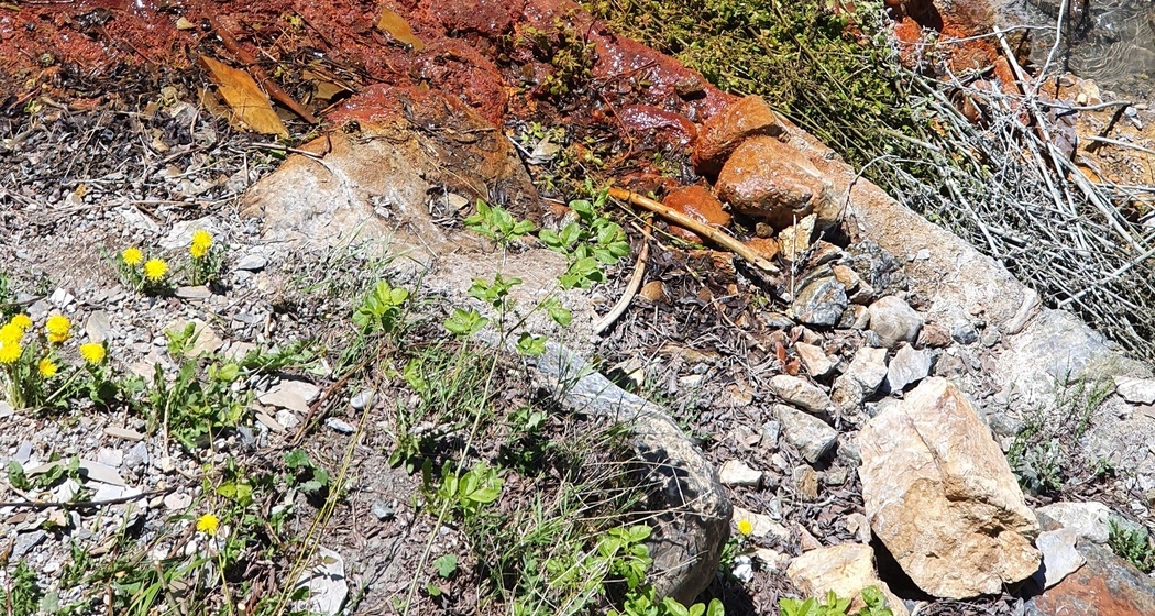 Überlauf der Lischana-Quelle