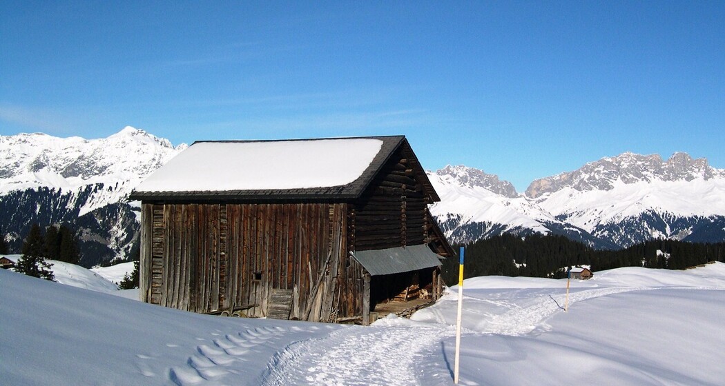 Blick auf den Rätikon