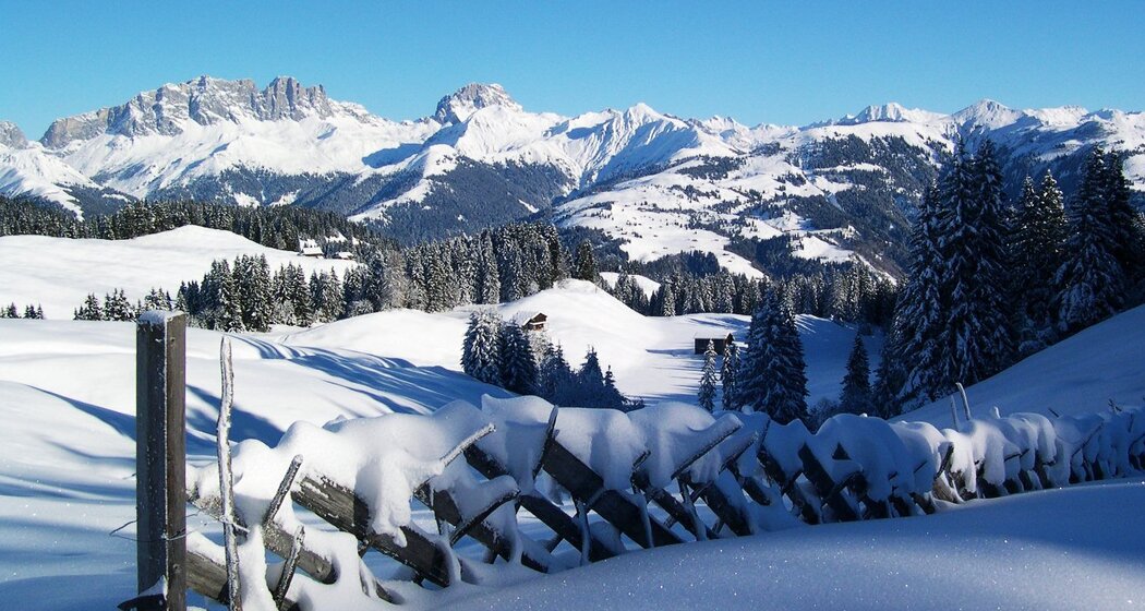 Schrägzau mit Rätikon-Blick