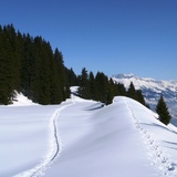 Schneeschuhspuren auf dem "Scäri"