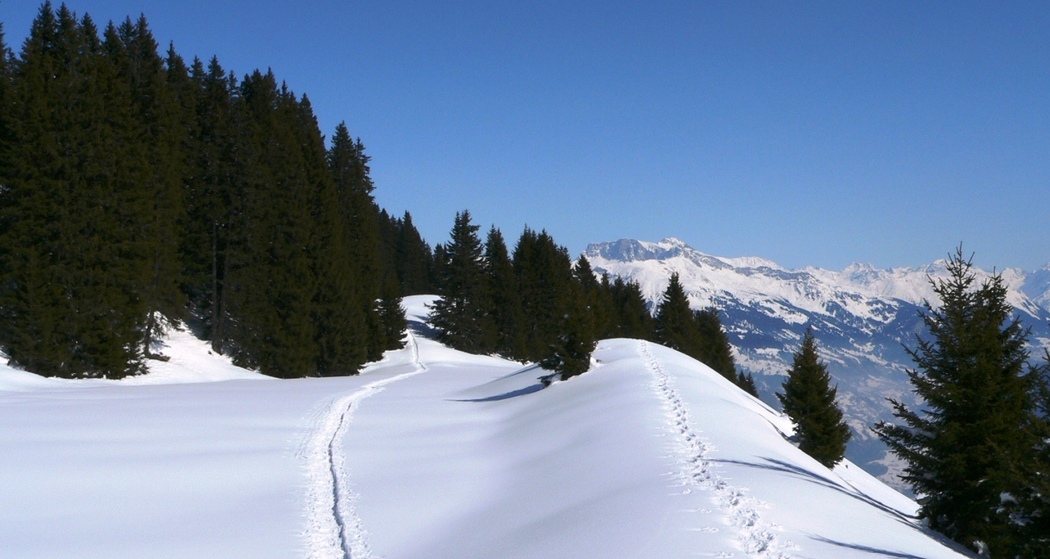 Schneeschuhspuren auf dem "Scäri"