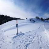 Winterwanderweg Furna, Hof