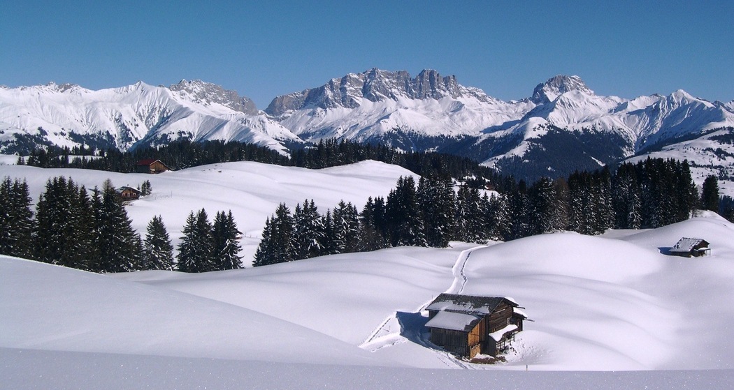 Blick auf den Rätikon