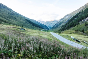 Area di sosta camper Madris (Avers) (oua_611520320_image)