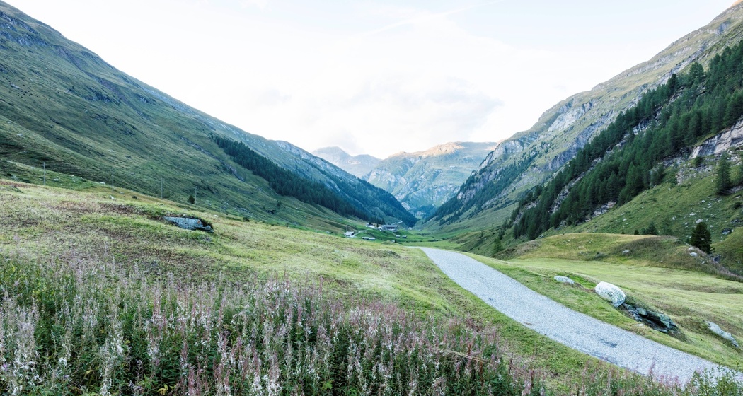 Stellplatz Madris (Avers) (oua_611520320_image)