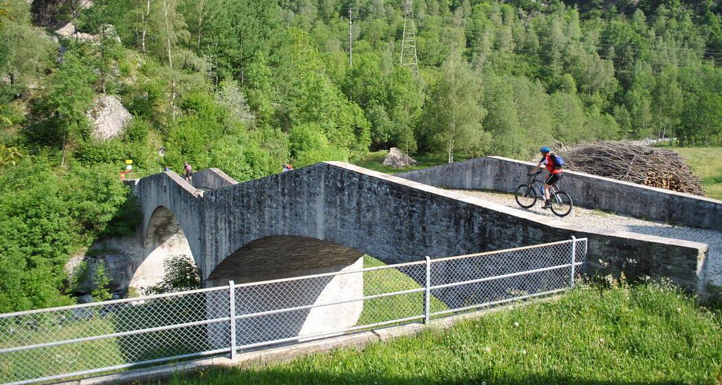 Maloja Express 679 (oua_59848716_image)