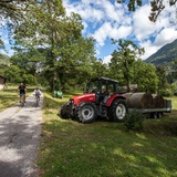 Maloja Express 679 (oua_59848723_image)
