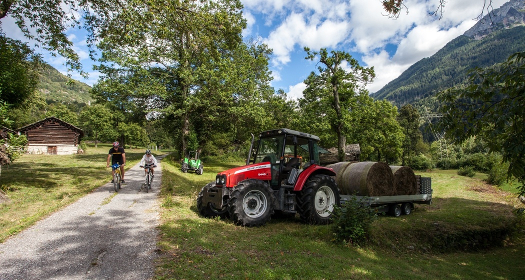 Maloja Express 679 (oua_59848723_image)