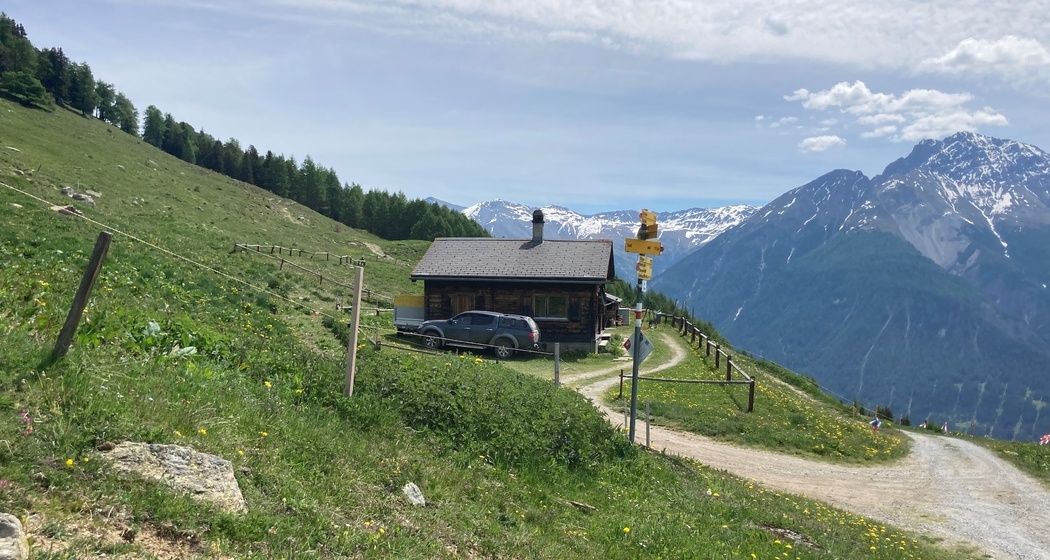 Alp Telf (oua_59852197_image)