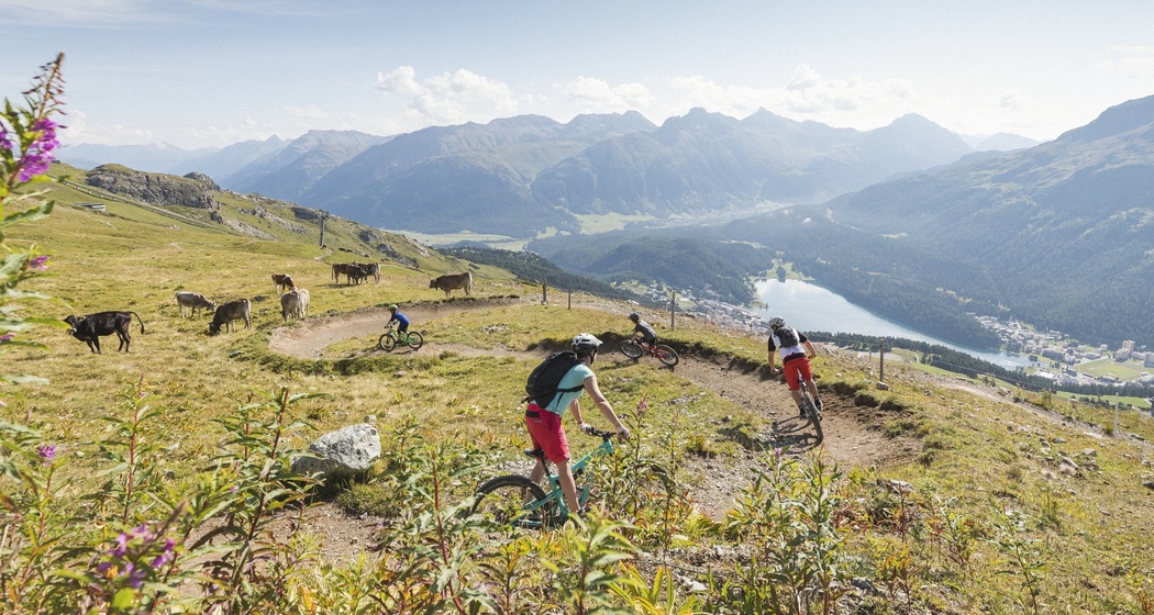 Suvrettapass (oua_59951231_image)