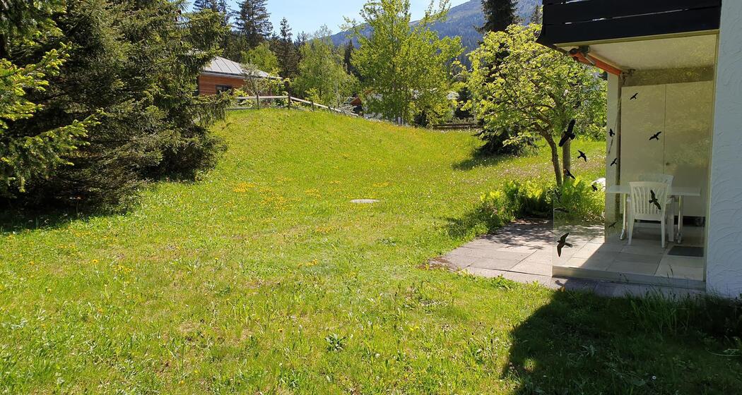 Ferienwohnung Seegarten Aussenansicht Sommer