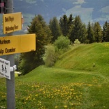 On the Rescue Path with Burli (oua_60018814_image)