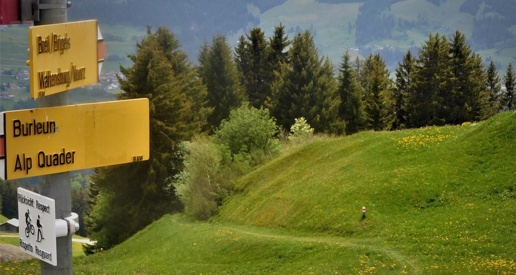 Auf dem Rettungspfad mit Burli (oua_60018814_image)