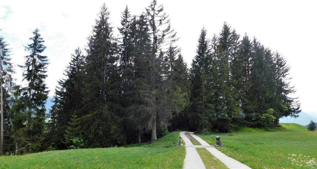 Auf dem Rettungspfad mit Burli (oua_60018815_image)