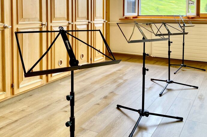 Volksmusighus Raum Walzer