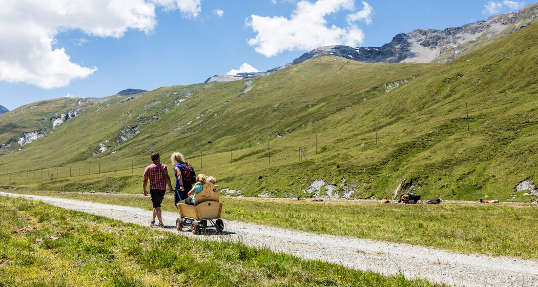 Murmeltierlehrpfad Avers-Bergalga