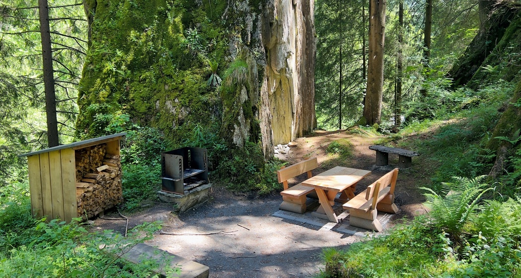 Feuerstelle Tüüfelstei