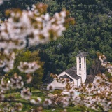 Braggio (oua_600534258_image)