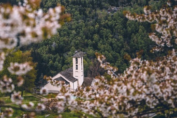 Braggio (oua_600534258_image)