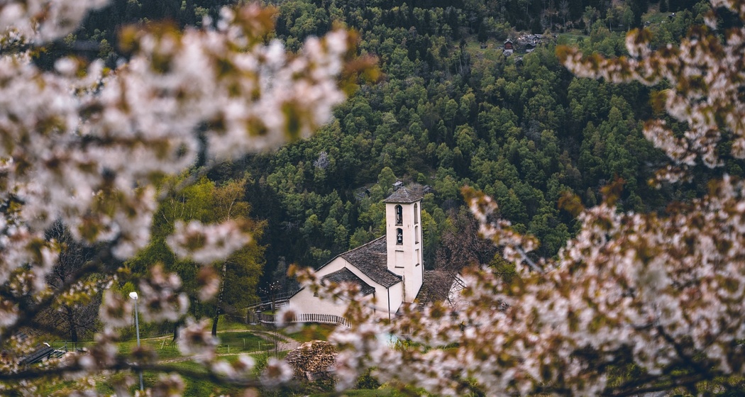 Braggio (oua_600534258_image)