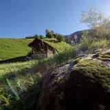 Via Panoramica - Valle Calanca (oua_600534330_image)