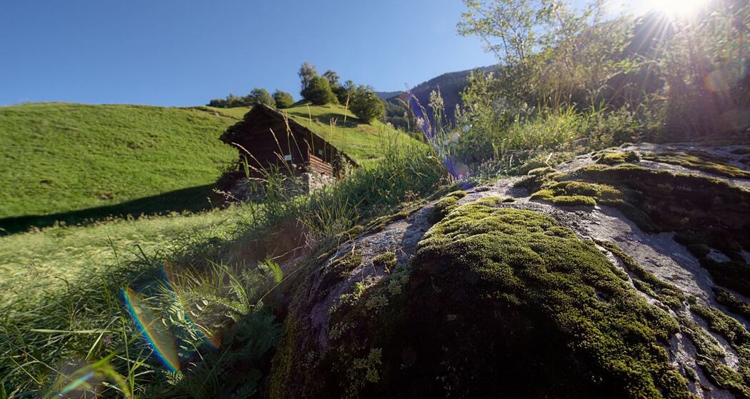 Panoramaweg-Valle Calanca (oua_600534330_image)