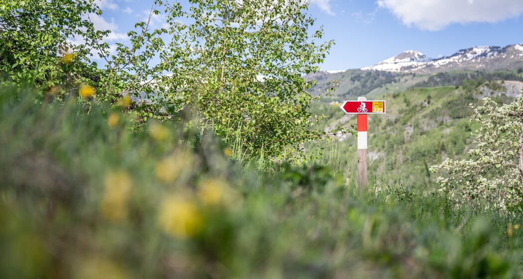 Bestens ausgeschilderte SchweizMobil Route "222 Nino Schurter Bike"